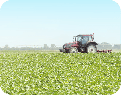 Agriculture Agriculture