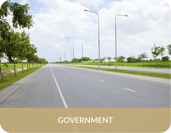 government