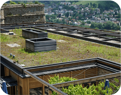 Green eco Green Eco-Conscious Building