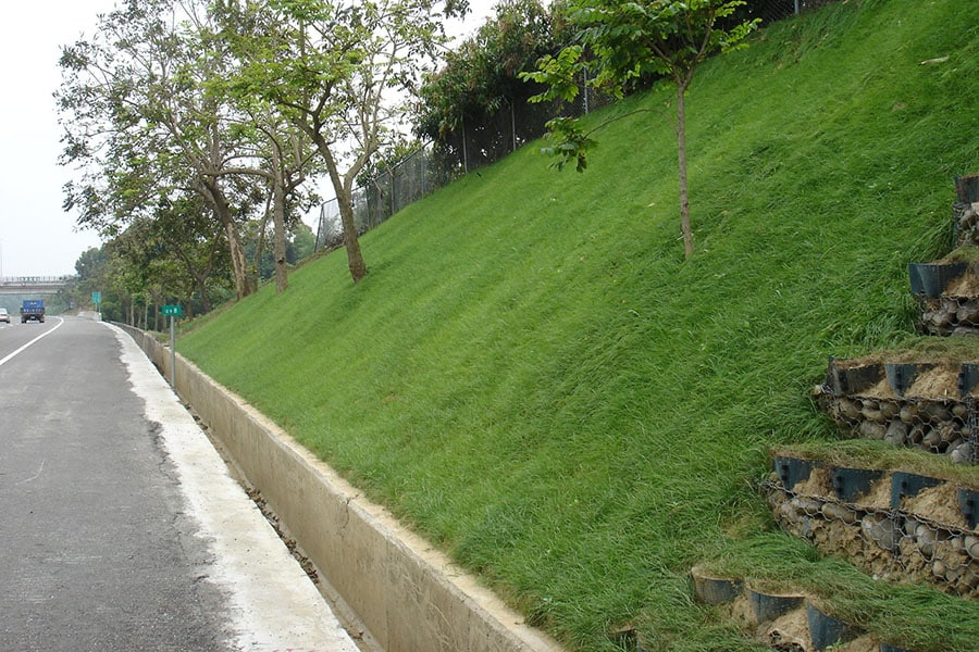 Stabilizing Steep Slopes and Hills