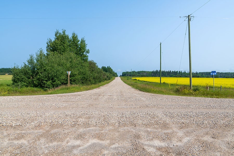 gravel stabilization grid