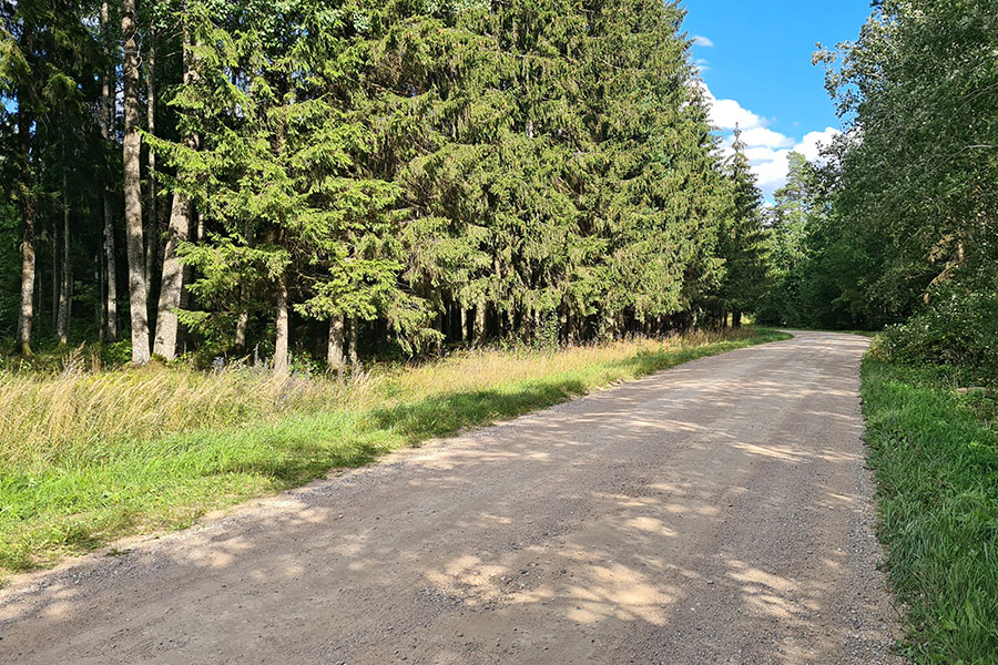 soil stabilization for dirt roads