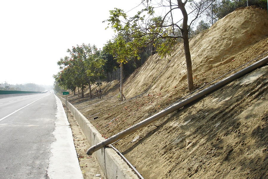 The Role of Vegetation in Slope Stability - Featured Image