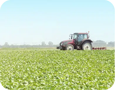 Agriculture.png Agriculture
