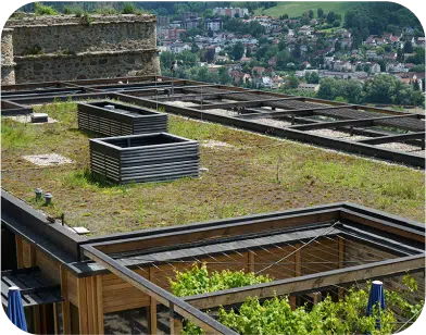 Green Eco-Conscious Building