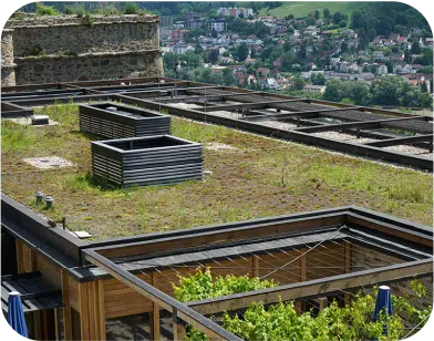 Green-eco-1.png Green Eco-Conscious Building