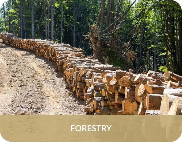 forestry