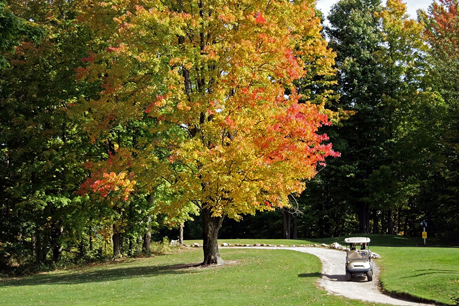 Golf Cart Path Construction