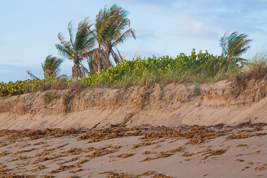 How to stop beach erosion