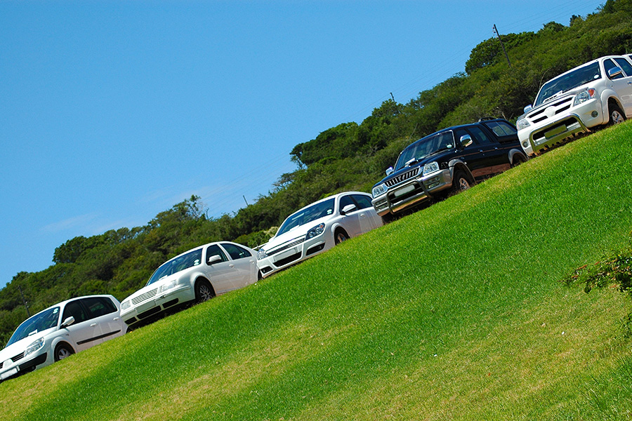 Grass Parking Lots