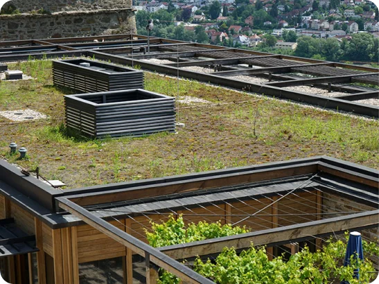 Green Eco-Conscious Building