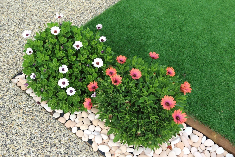 Grass & Gravel Paver