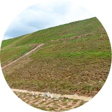 Slope Protection